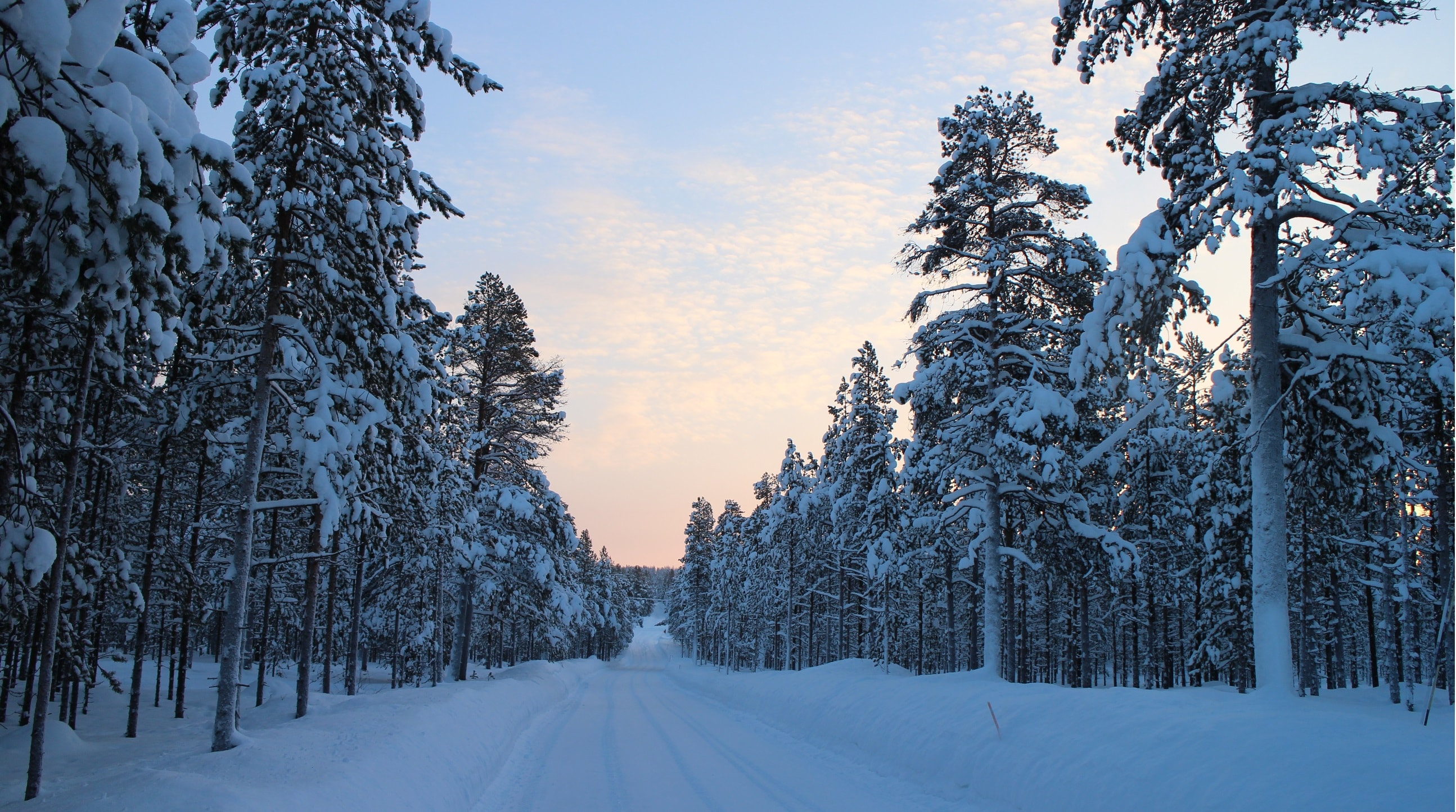 Repatriation From the “Caliphate” Highlights Jihadist Presence in Finland